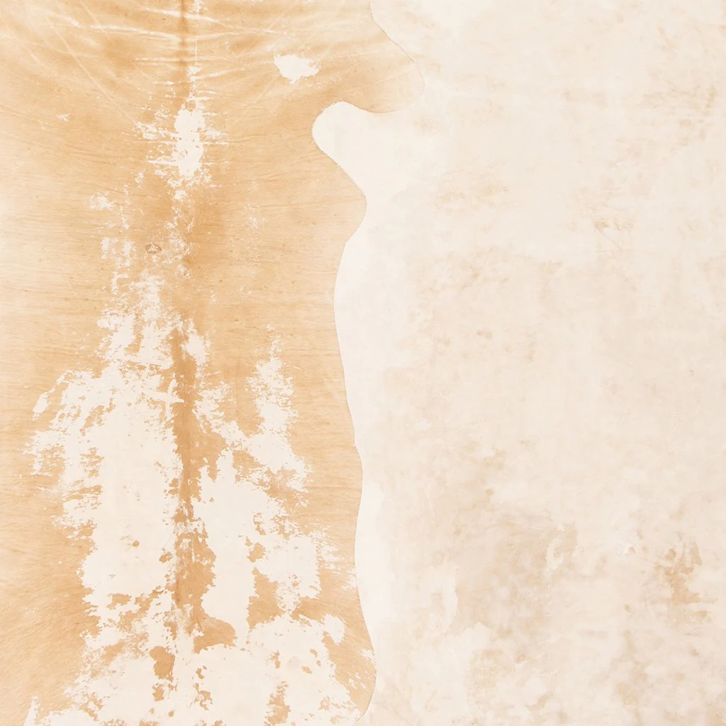 Harland Modern Cowhide Rug - Natural Brown - Image 11